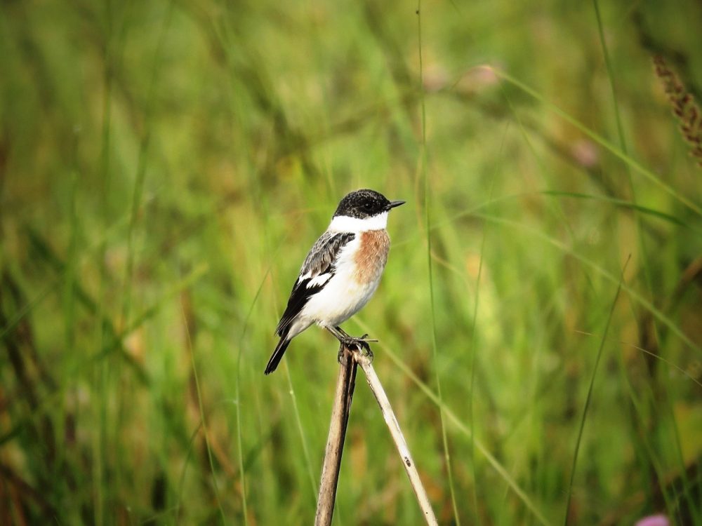 category-finance-82157