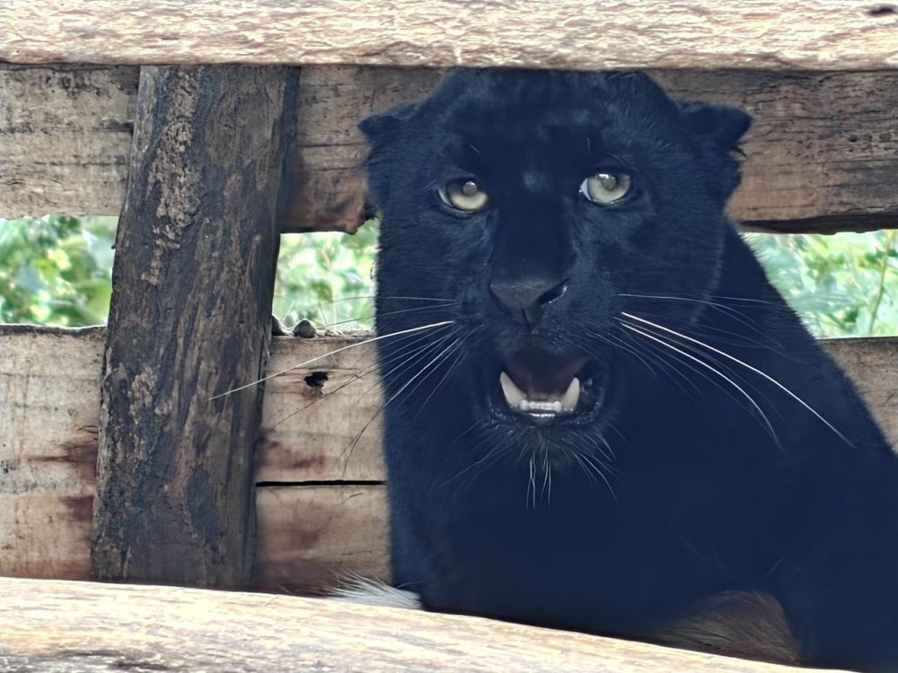 category-entertainment-77119