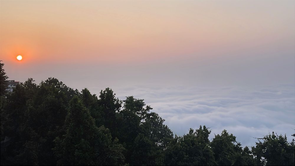 category-science-76910