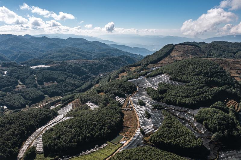 category-finance-77402