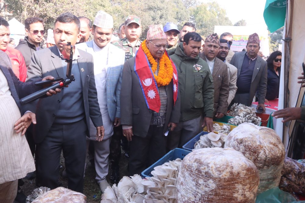 category-finance-79537