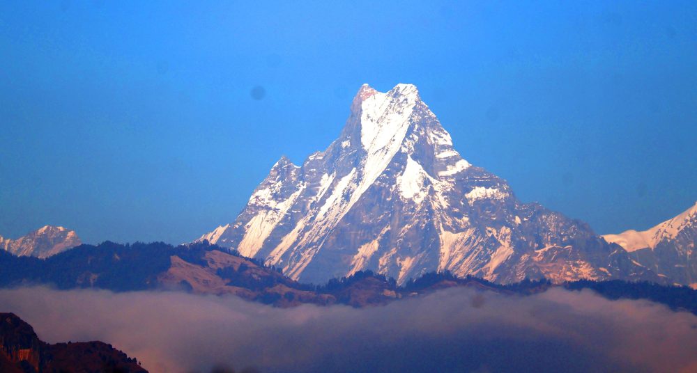 category-science-78465