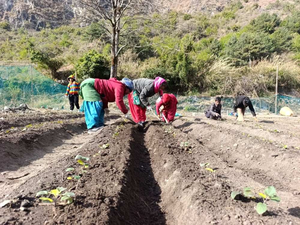 category-finance-79463