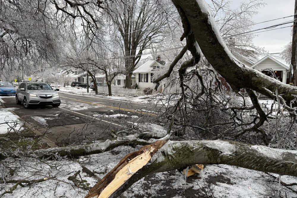 category-america-80816