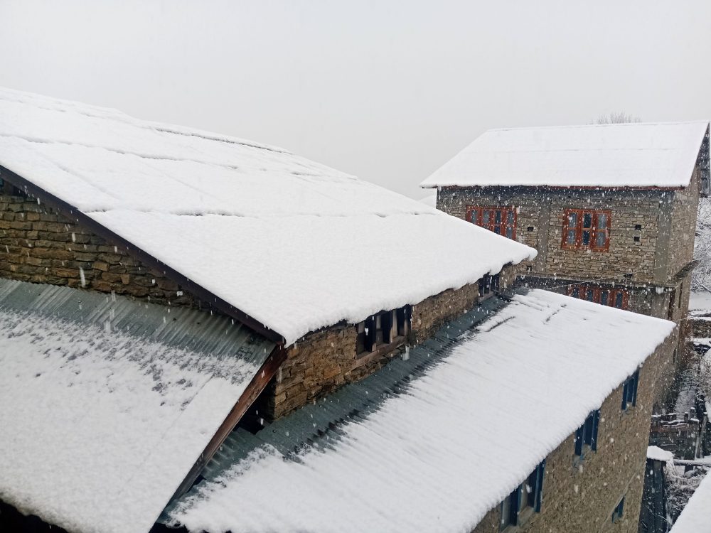 category-science-80639