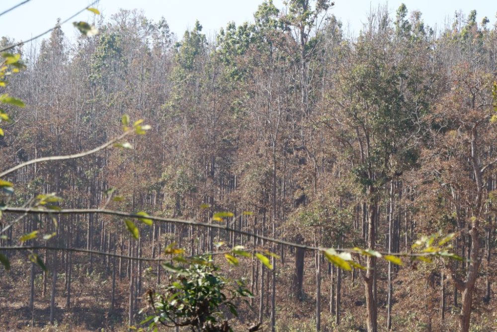 category-finance-80540