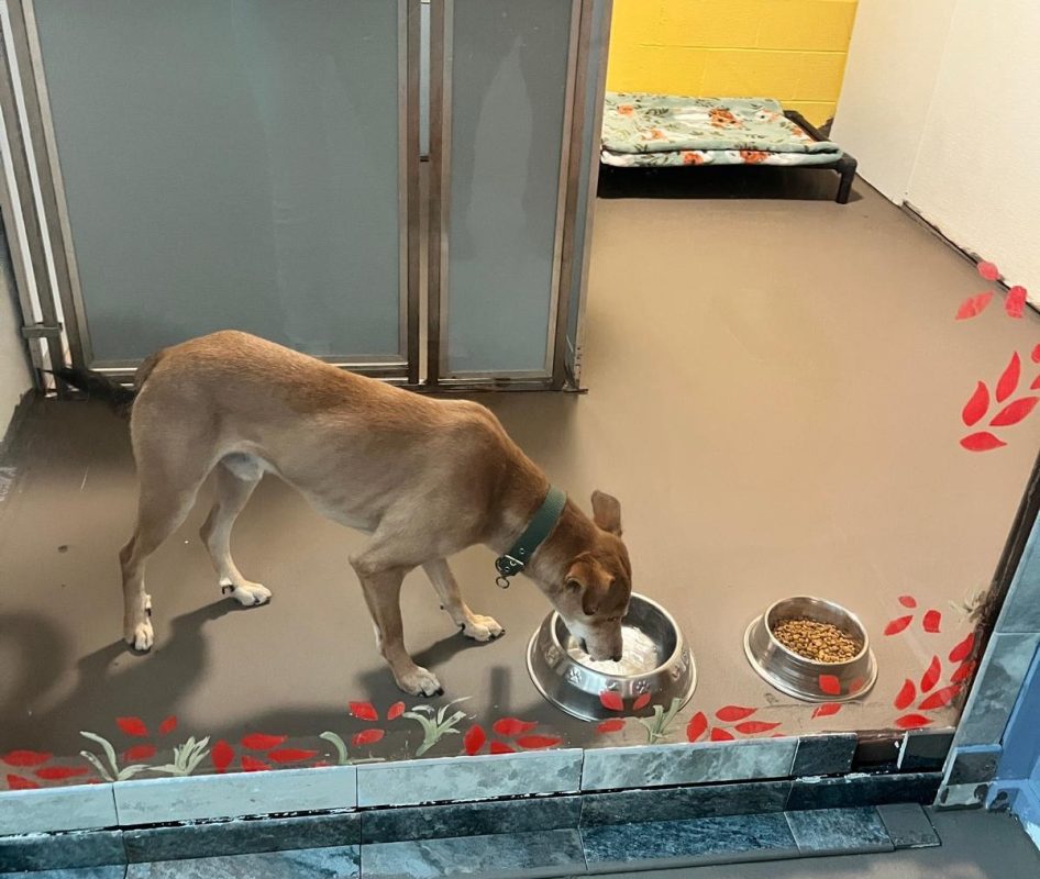 category-america-80252