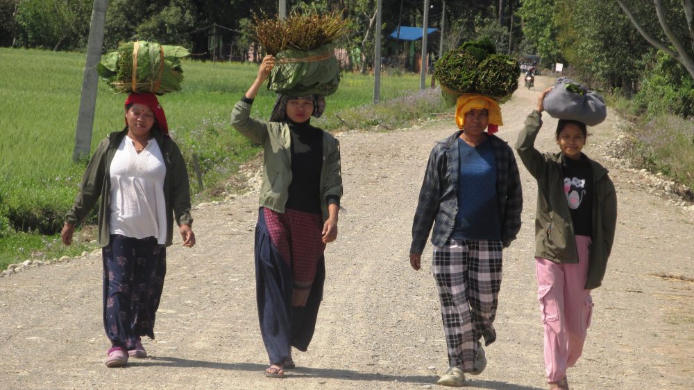 category-entertainment-80034