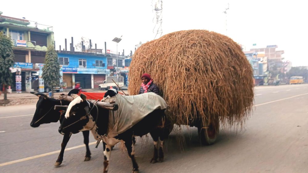 category-science-80550