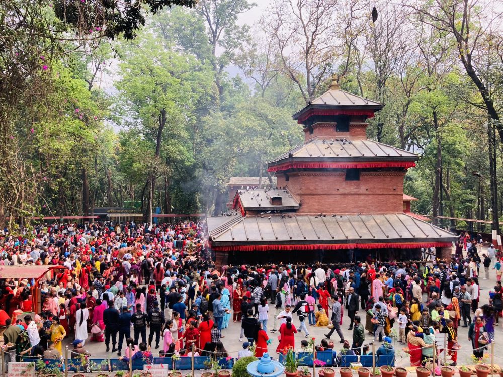 category-entertainment-83786