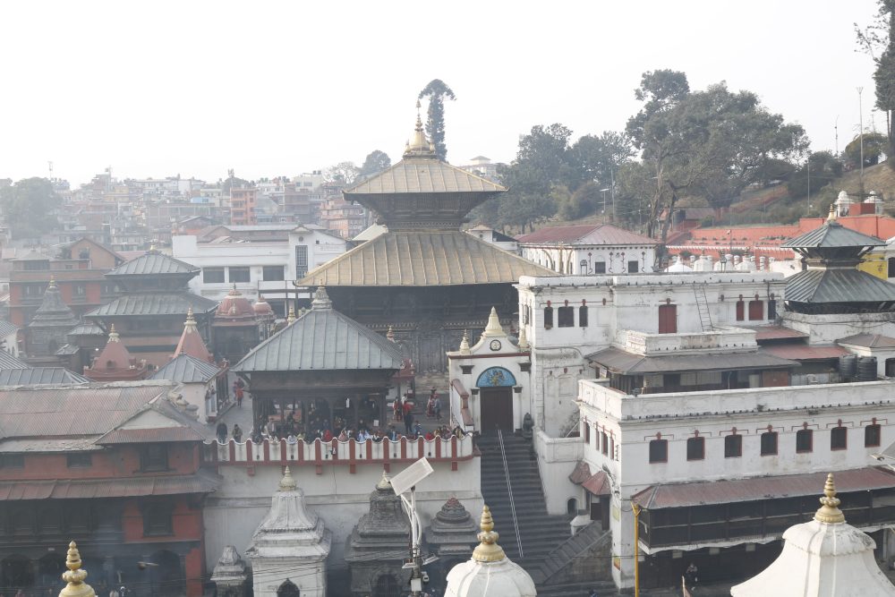 category-entertainment-81265