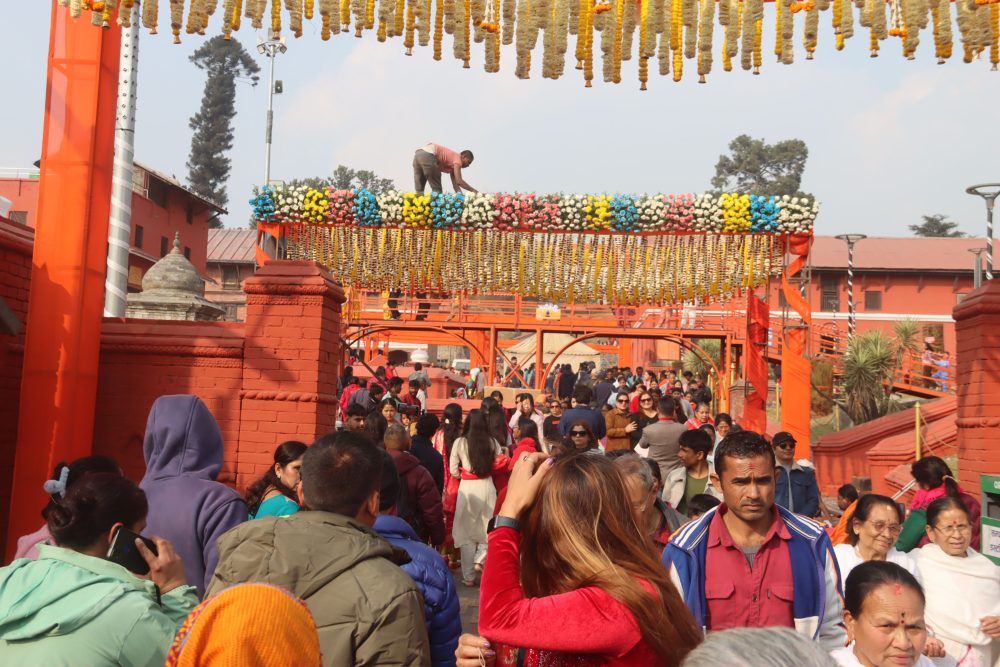 category-entertainment-81538