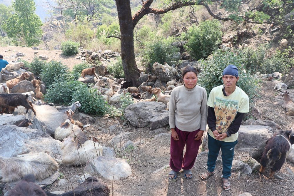 category-finance-85021